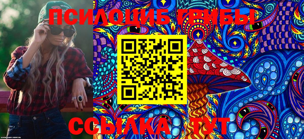 Элиста  Псилоцибиновые грибы Cubensis  Вход с VPN 