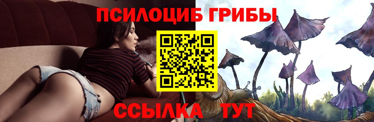 Галлюциногенные грибы ЛСД Элиста