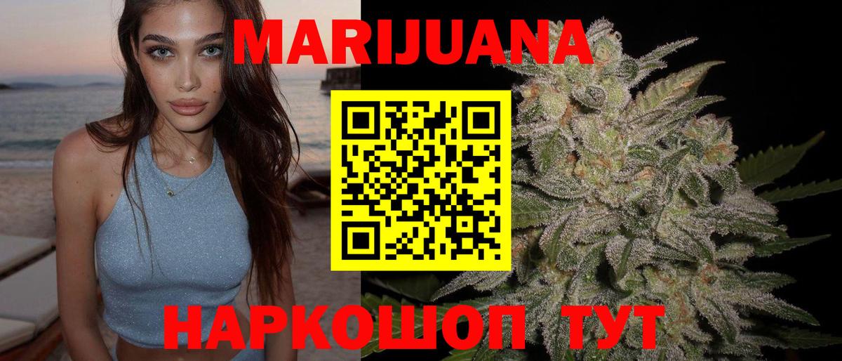 Канабис OG Kush Элиста